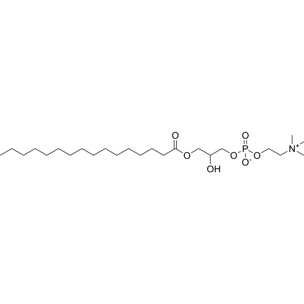 (Rac)-1-Palmitoyl-glycero-3-phosphocholine 17364-18-0